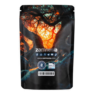 Bolsa Z-Lock para Guardar Objetos – Criaturas Míticas (Média)