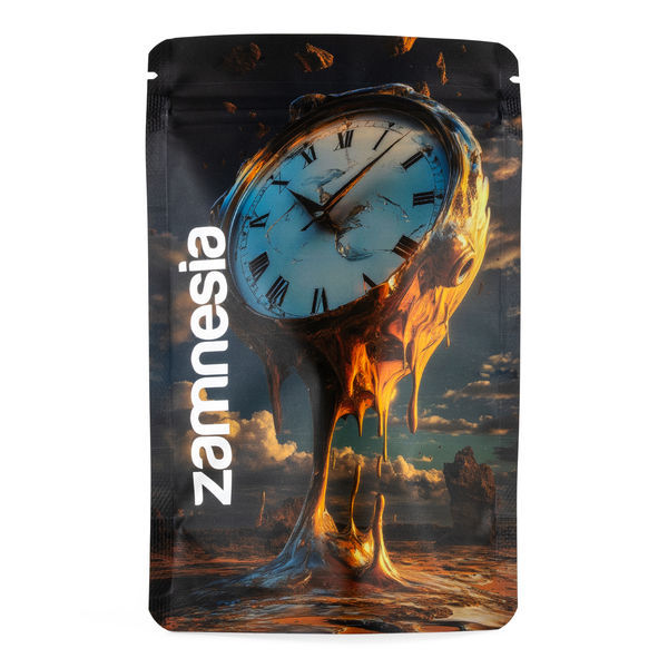 TranceLucid Z-Lock Saco de Armazenamento (Médio)