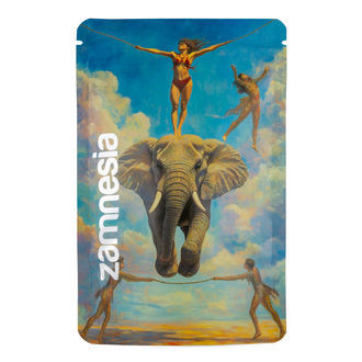 TranceLucid Z-Lock Saco de Armazenamento (Médio)