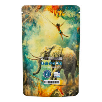 TranceLucid Z-Lock Saco de Armazenamento (Médio)