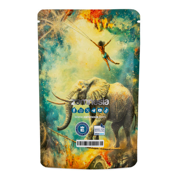 TranceLucid Z-Lock Saco de Armazenamento (Médio)