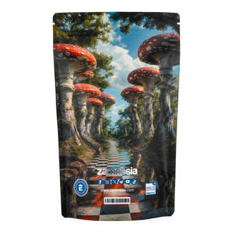 Maleta Z-Lock Zammi in Wonderland (Extra Grande)