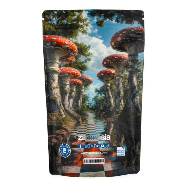 Maleta Z-Lock Zammi in Wonderland (Extra Grande)