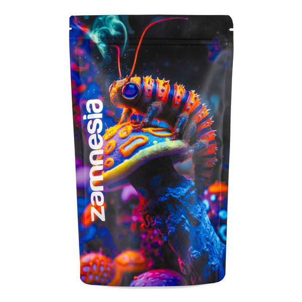 Maleta Z-Lock Zammi in Wonderland (Extra Grande)