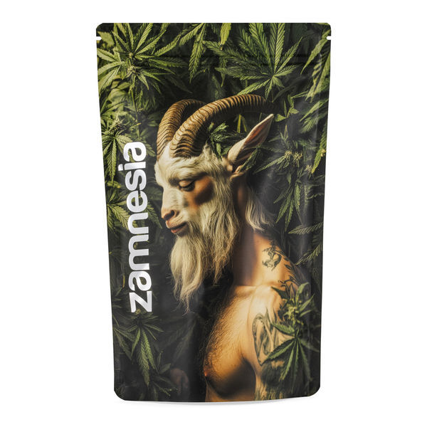 Saco Mythical Creatures Z-Lock (Extra Grande)