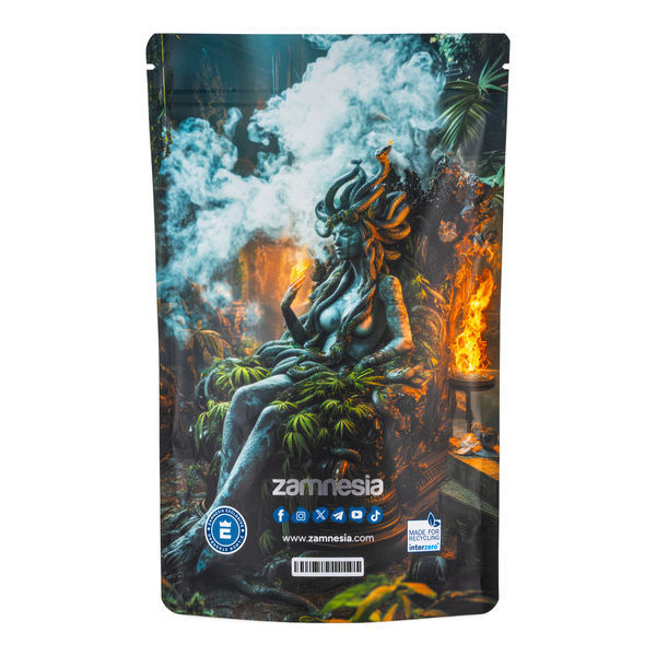 Bolsa Medusa Z-Lock (Extra Grande)