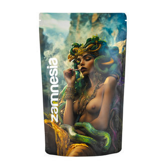 Bolsa Medusa Z-Lock (Extra Grande)