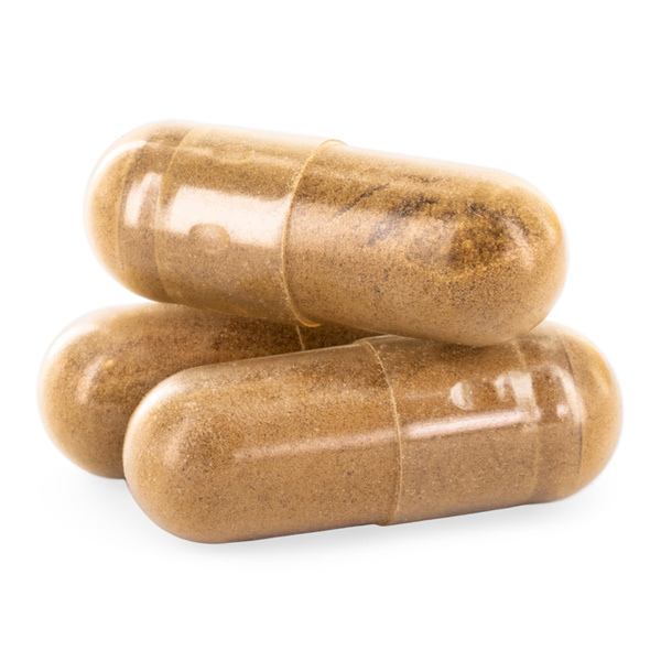 Cápsulas de cogumelo Lion's Mane (Zamnesia)