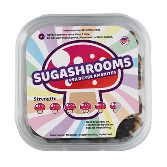 SugaShrooms Trufas Mágicas