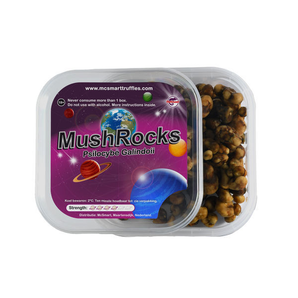 MushRocks Trufas Mágicas