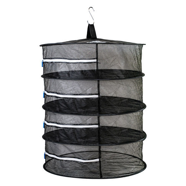 Estendal de secagem de ervas (Zamnesia)