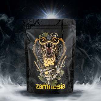 Pack de tesouros TRIBE "Rising Cobra"