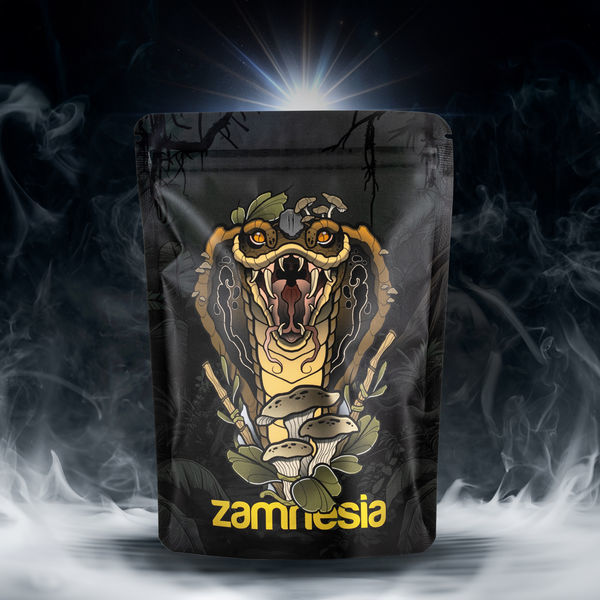 Pack de Tesouros TRIBE "Rising Cobra"