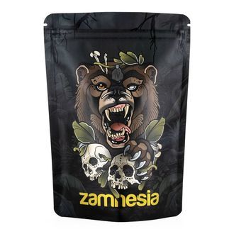 Pacote de Tesouros TRIBE "Urso Rugidor"