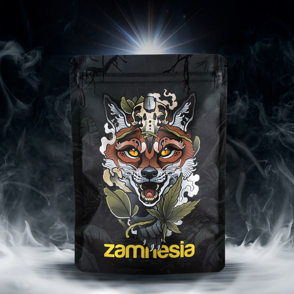 Pacote de Tesouros TRIBE "Raposa Exploradora"