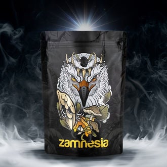Pack TRIBE Tesouro "Legendary Eagle"