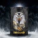 Pack TRIBE Tesouro "Legendary Eagle"