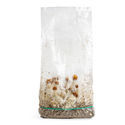 Zamnesia Ready-2-Grow Bag "MVP"
