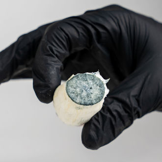 Zamnesia Ready-2-Grow Bag "MVP"