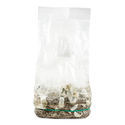 Zamnesia Ready-2-Grow Bag "Jack Rabbit"