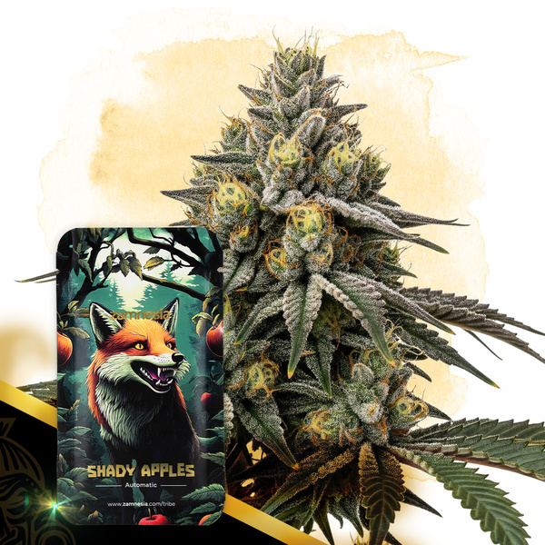 Shady Apples Autoflower (Zamnesia Seeds) feminizada