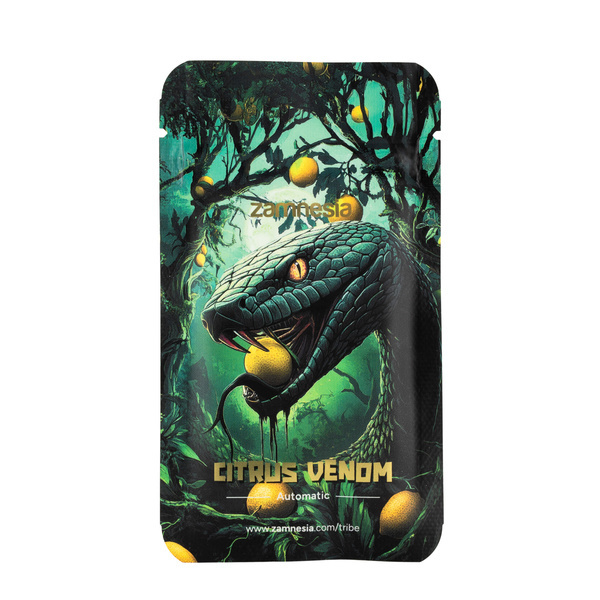 Citrus Venom Autoflower (Zamnesia Seeds) feminizada