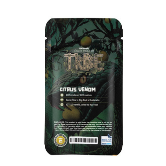 Citrus Venom Autoflower (Zamnesia Seeds) feminizada