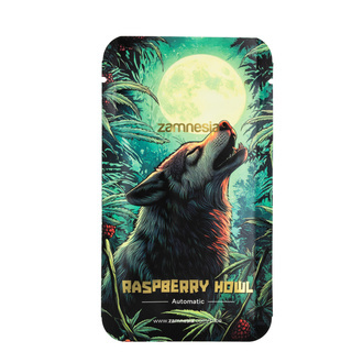 Raspberry Howl Autoflower (Zamnesia Seeds) feminizada