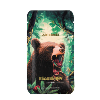 Bearberry Autoflorescente (Zamnesia Seeds) feminizada