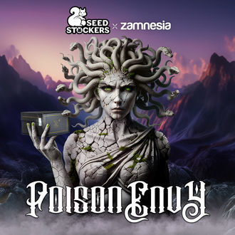 Poison Envy (Seedstockers x Zamnesia Seeds) Feminizada