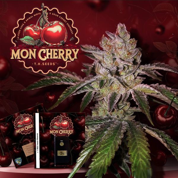 Mon Cherry (T.H.Seeds™) Feminizada