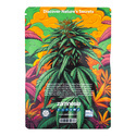 Pack In-Di-Couch Indica - Variedades Feminizadas
