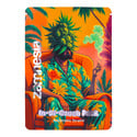 In-Di-Couch Indica Pack – Variedades Autoflorescentes