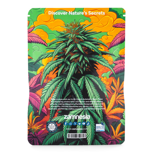 In-Di-Couch Indica Pack – Variedades Autoflorescentes
