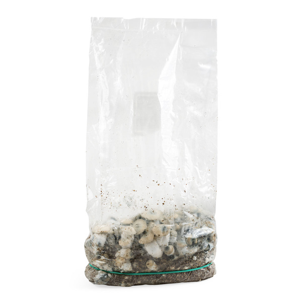 Zamnesia Ready-2-Grow Bag 'Bluey Vuitton'