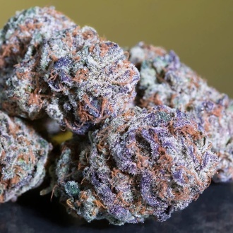 Blue Gem (Paradise Seeds) feminizada