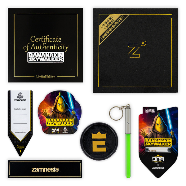 Bananakin Skywalker (feminizado, Zamnesia Seeds x DNA Genetics)