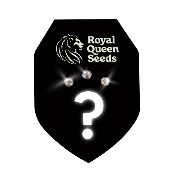 Autoflower Mystery Seeds 3 (Royal Queen Seeds)