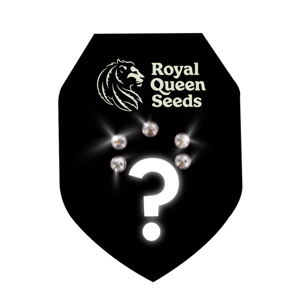 Mystery Feminized Seeds 5 (Royal Queen Seeds)