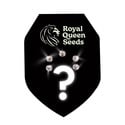 Autoflower Mystery Seeds 5 (Royal Queen Seeds)