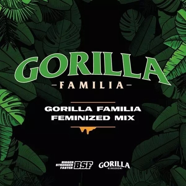 Gorilla Family Mix (BSF Seeds) feminizada