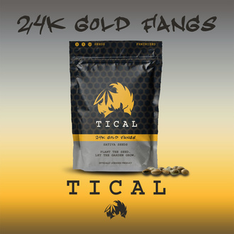 24K Gold Fangs (TICAL) feminizada