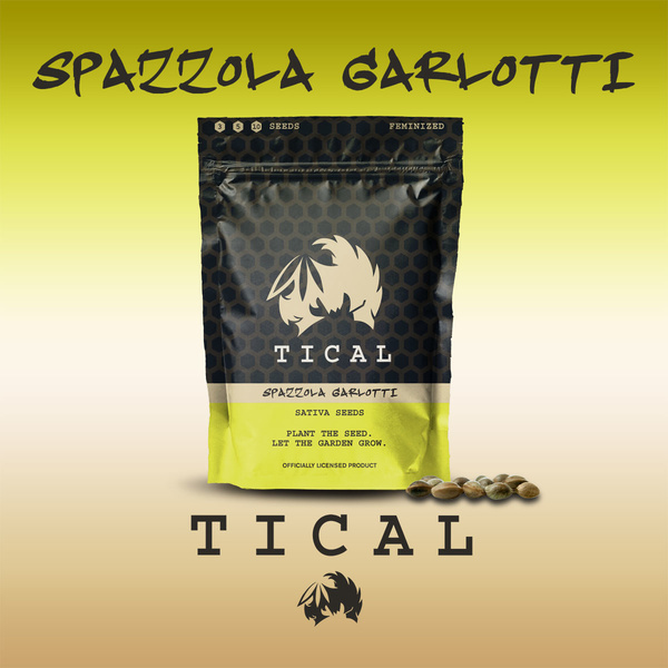 Spazzola Garletti (TICAL) feminizada