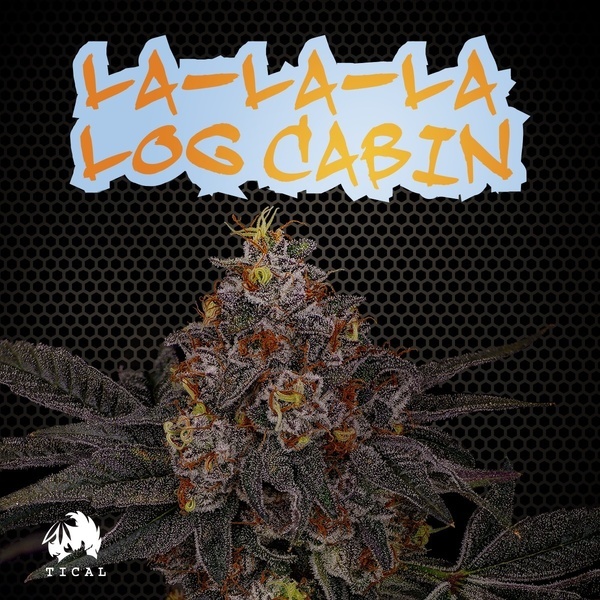 La-La-La Log Cabin (TICAL) feminizada