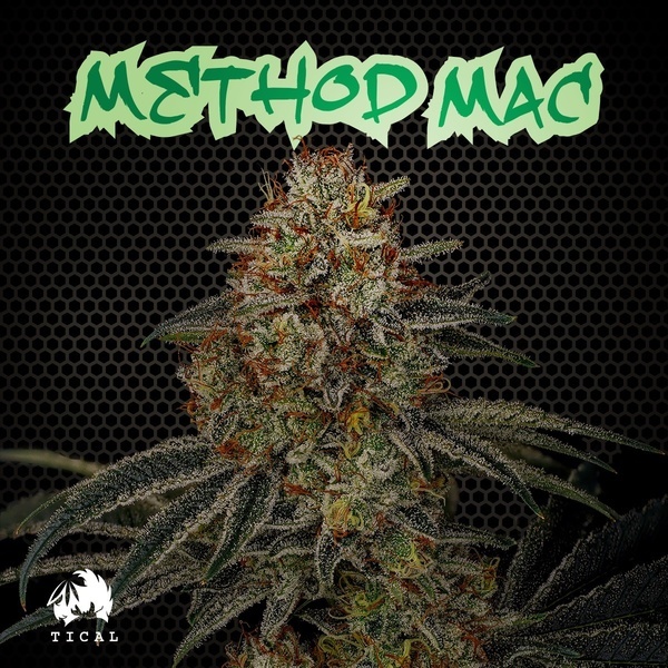 Method Mac (TICAL) feminizada