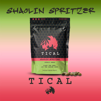 Shaolin Spritzer (TICAL) feminizada