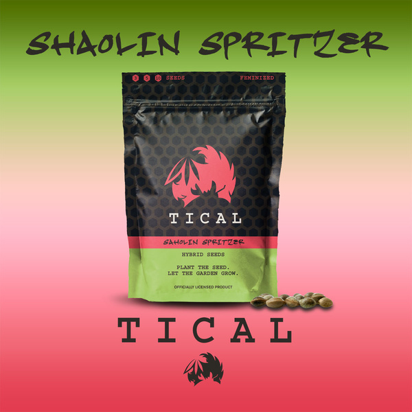 Shaolin Spritzer (TICAL) feminizada