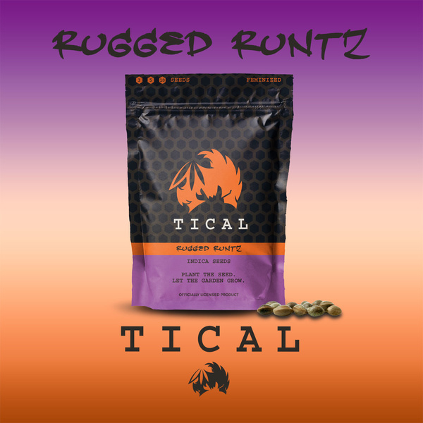 Rugged Runtz (TICAL) feminizada