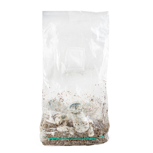 Saco Ready-2-Grow 'APE' da Zamnesia