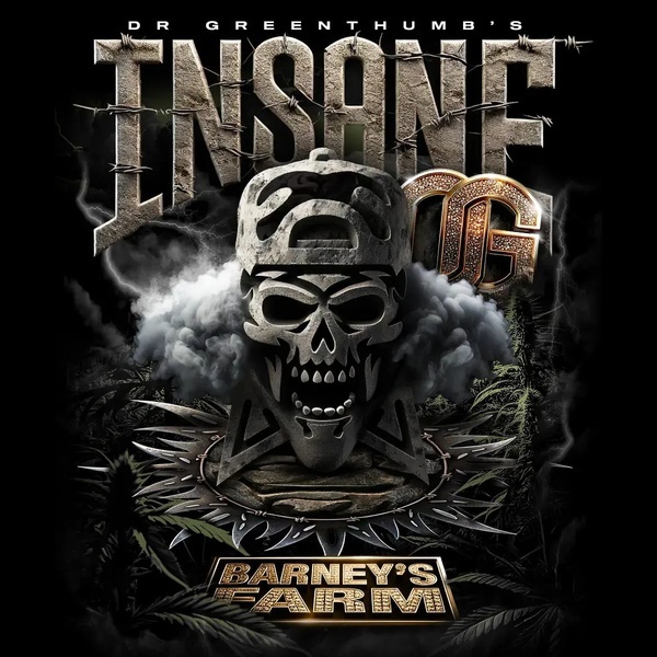 Insane OG (Barney's Farm) feminizada